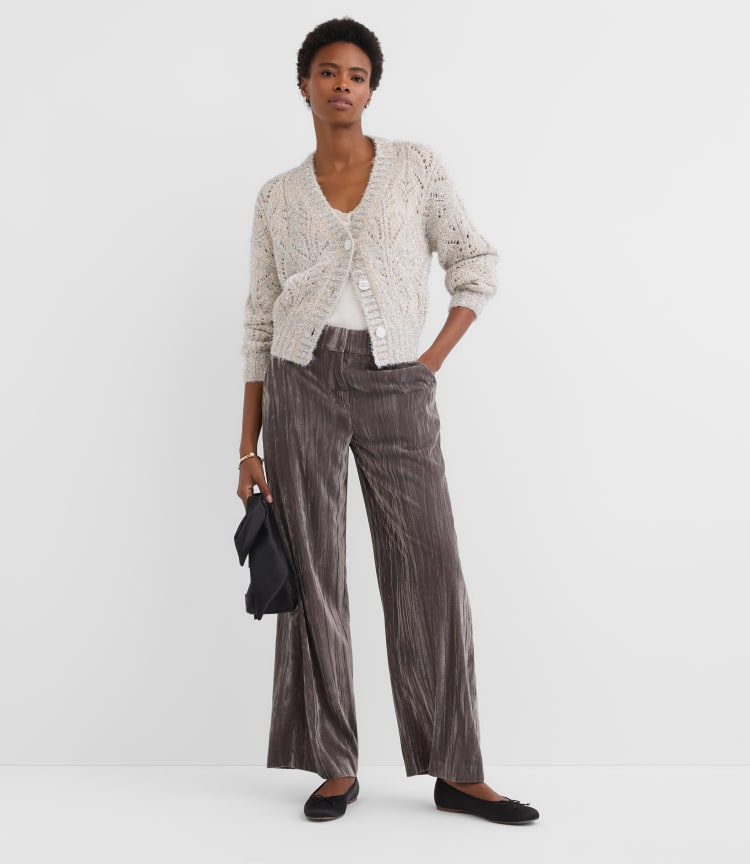 Clean Wide Leg Pants in Pleated Velvet