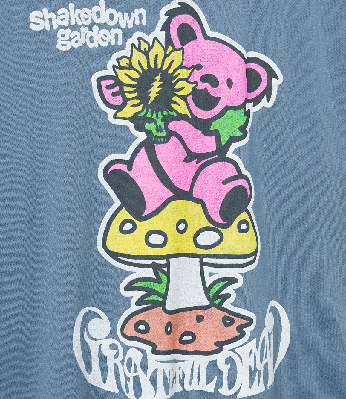 Junk Food Grateful Dead Shakedown Garden Vintage Tee