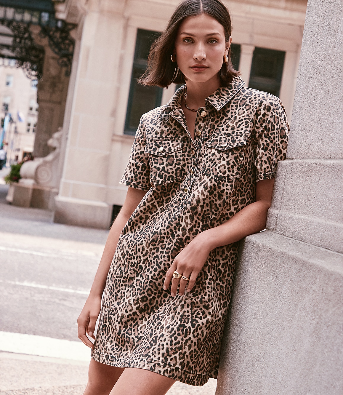 Loft Leopard Print Mini Pocket Dress Size XS Popcorn Women's