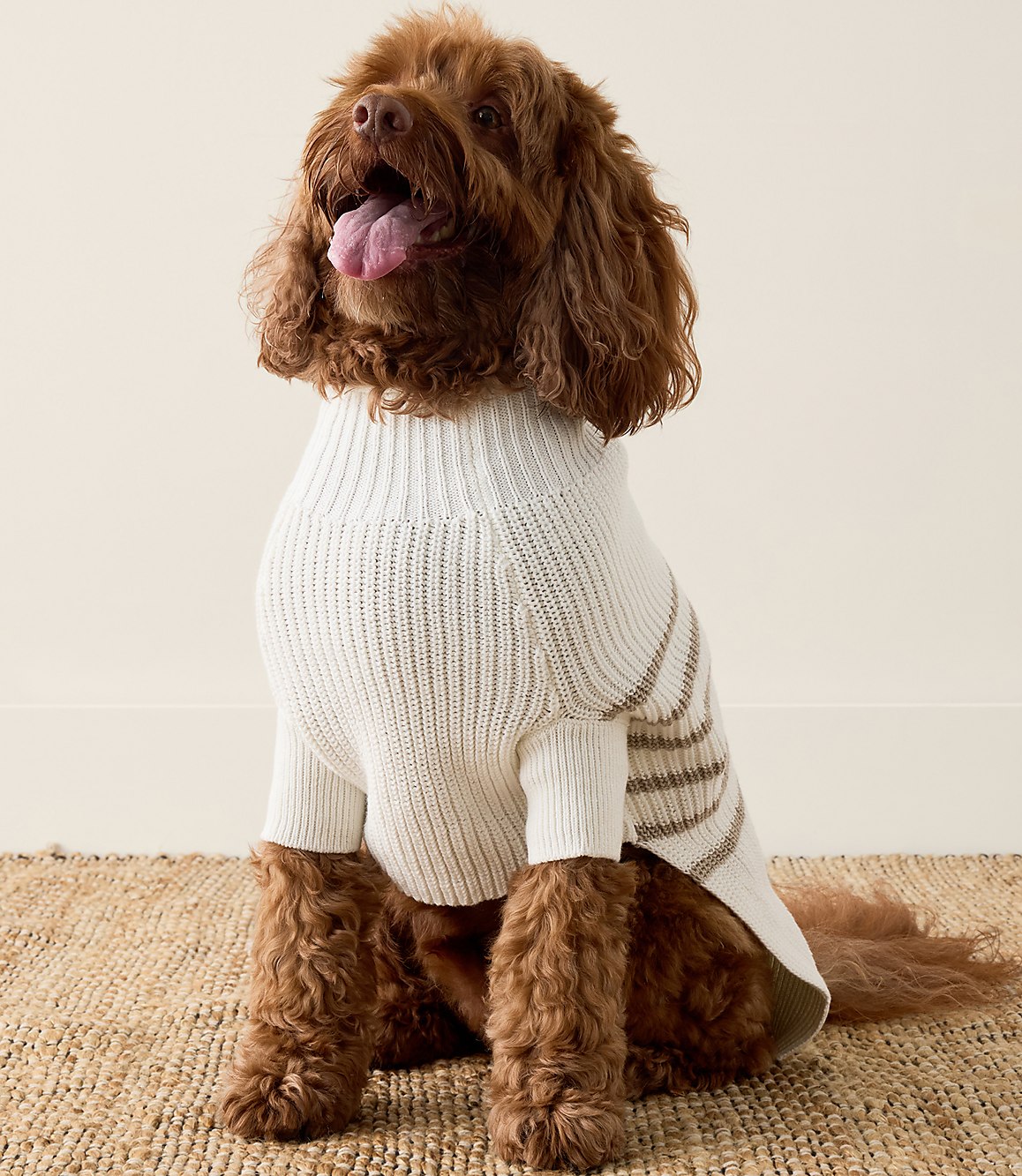 Haven Well Within Organic Cotton Striped Dog Sweater