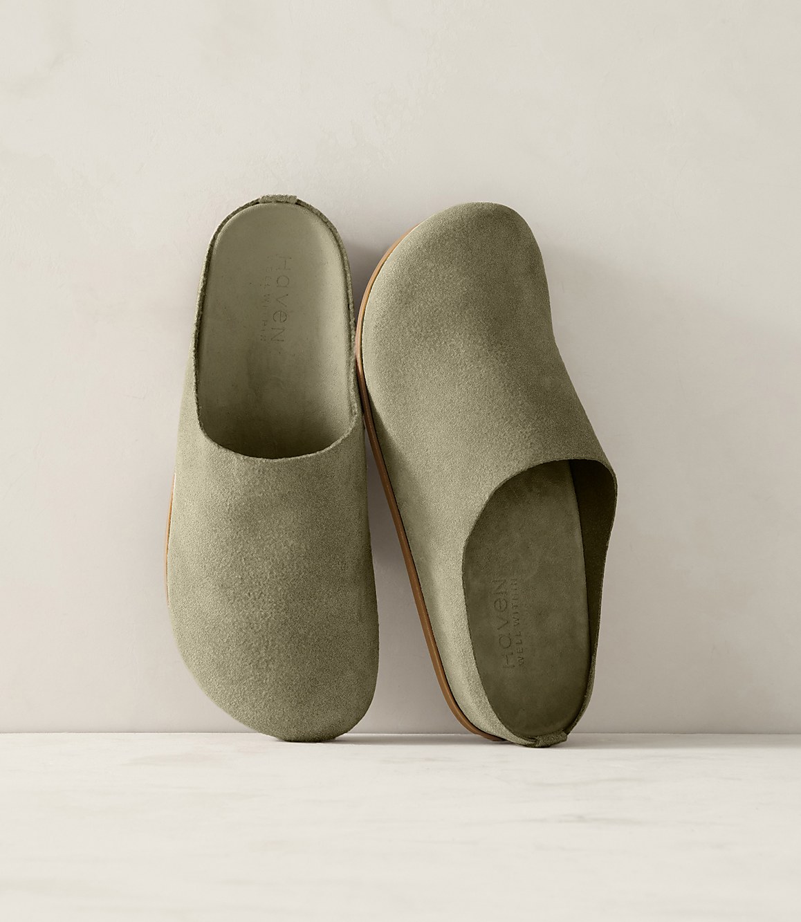 Haven Well Within Suede Clogs