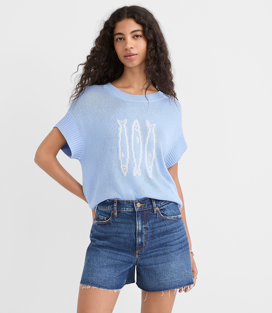 Fish Wedge Sweater