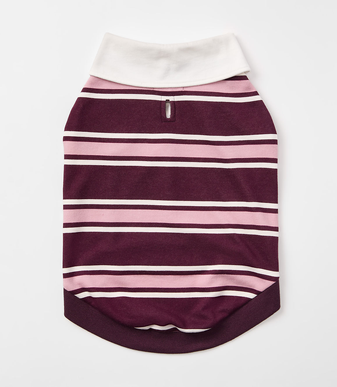 A striped dog shirt with a white collar lies flat against a plain white background.