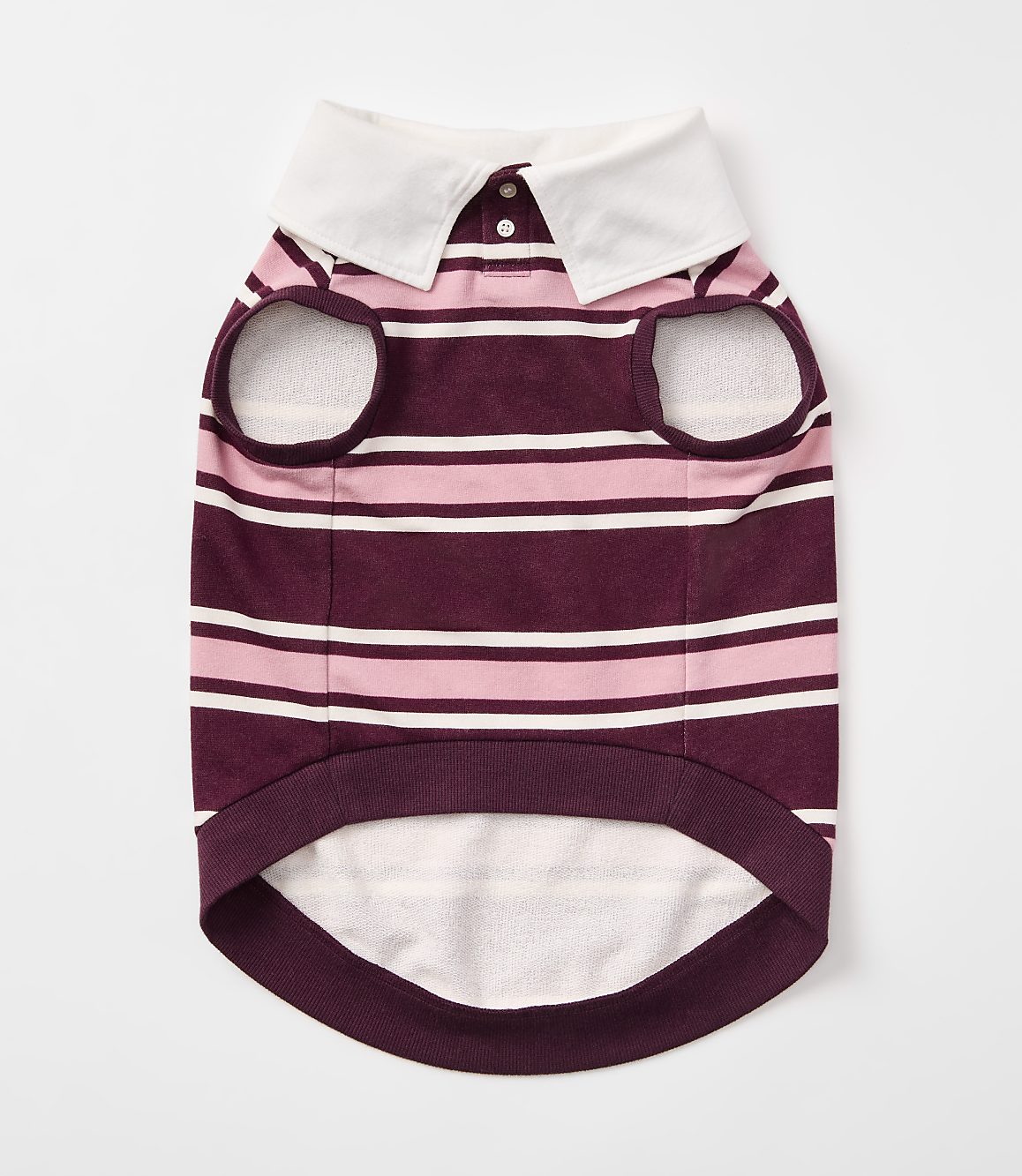 A striped dog shirt with a white collar lies flat against a plain white background.