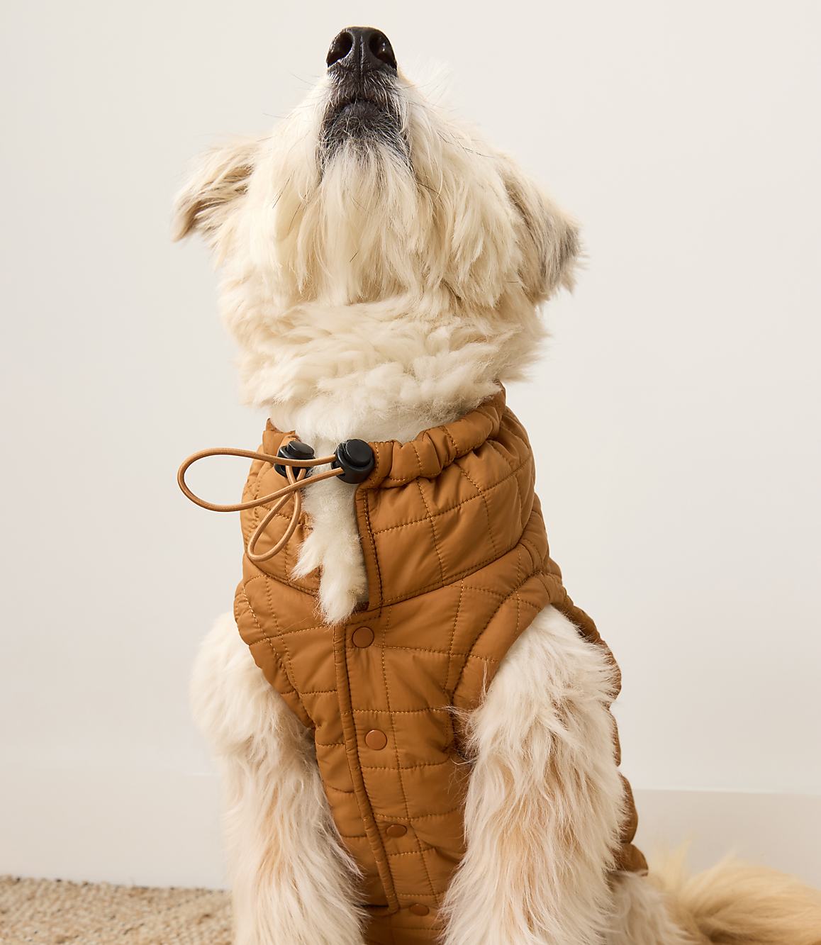 Haven Well Within Quilted Dog Puffer
