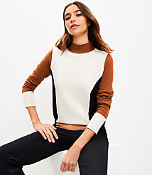 Colorblock Mock Neck Sweater carousel Product Image 1
