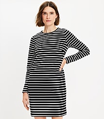 Petite Striped Ottoman Mock Neck Dress carousel Product Image 1