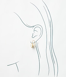 Pave Bordered Pull Through Earrings carousel Product Image 2