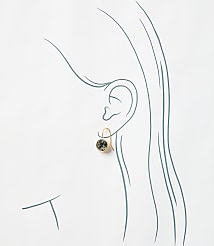 Sparkle Pull Through Earrings carousel Product Image 2
