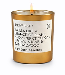 Anecdote Candles Snow Day Gold Tumbler Candle carousel Product Image 1