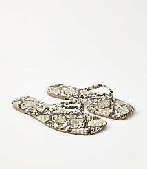 Square Toe Flip Flops carousel Product Image 1