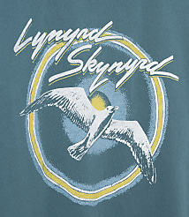 Junk Food Lynyrd Skynyrd Bird Vintage Tee carousel Product Image 3