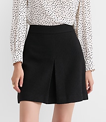 Front Pleated Mini Skirt carousel Product Image 2