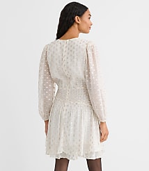 Shimmer Clip Shirred Mini Dress carousel Product Image 2