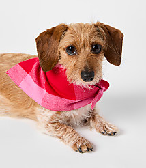 Buffalo Plaid Dog Bandana carousel Product Image 1