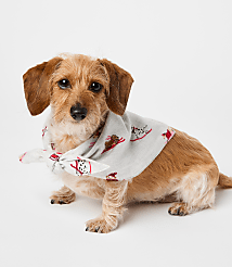 Ski Puppy Dog Bandana carousel Product Image 1