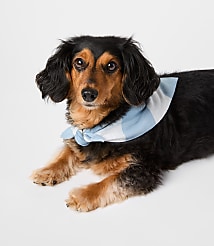 Buffalo Plaid Dog Bandana carousel Product Image 1