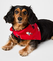 Holiday Kitten Dog Bandana carousel Product Image 1