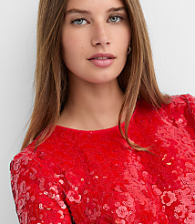 Sequin Short Sleeve Mini Dress carousel Product Image 4