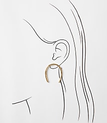 Horseshoe Statement Earrings carousel Product Image 2