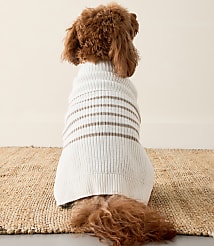 Haven Well Within Organic Cotton Striped Dog Sweater carousel Product Image 2