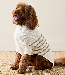 Haven Well Within Organic Cotton Striped Dog Sweater carousel Product Image 1