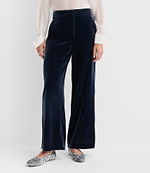 Petite Clean Wide Leg Pants in Velvet carousel Product Image 3