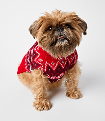 Fair Isle Dog Sweater carousel Product Image 1