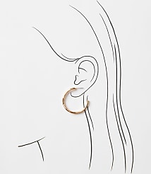 Molded Metal Hoop Earrings carousel Product Image 2