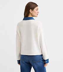 Denim Trim Henley Sweater carousel Product Image 2