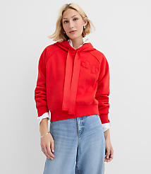 Petite Heart Embroidered Hoodie carousel Product Image 1