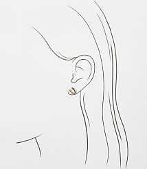Lucky Clover Stud Earring Set carousel Product Image 2