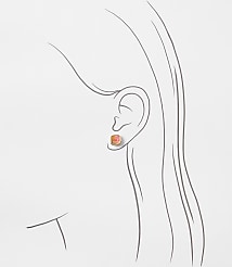 Multicolored Tortoiseshell Print Stud Earring Set carousel Product Image 2