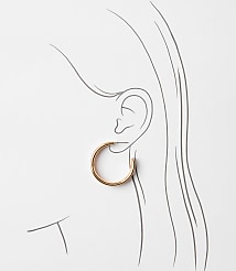 Sculpted Hoop Earrings carousel Product Image 2