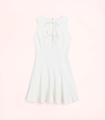 Lately Bow Flare Mini Dress carousel Product Image 2