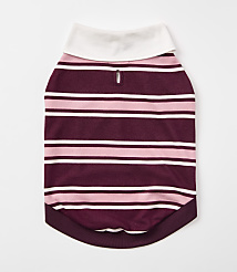 A striped dog shirt with a white collar lies flat against a plain white background. carousel Product Image 2