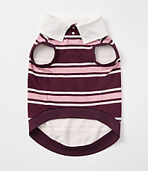 A striped dog shirt with a white collar lies flat against a plain white background. carousel Product Image 3