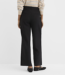 A person wearing black wide-leg pants and black flats stands against a plain white background. carousel Product Image 3