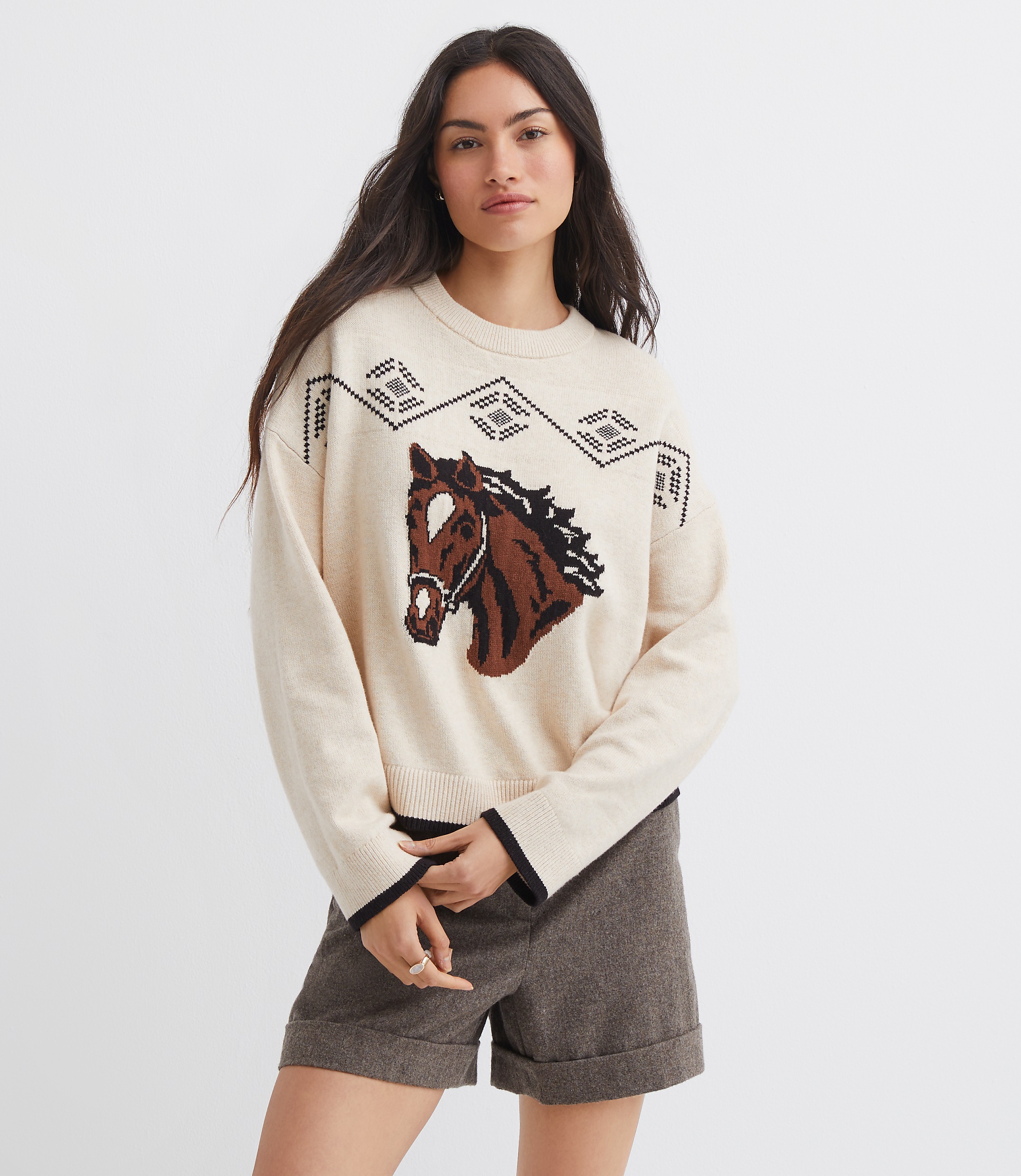 Horse Sweater
