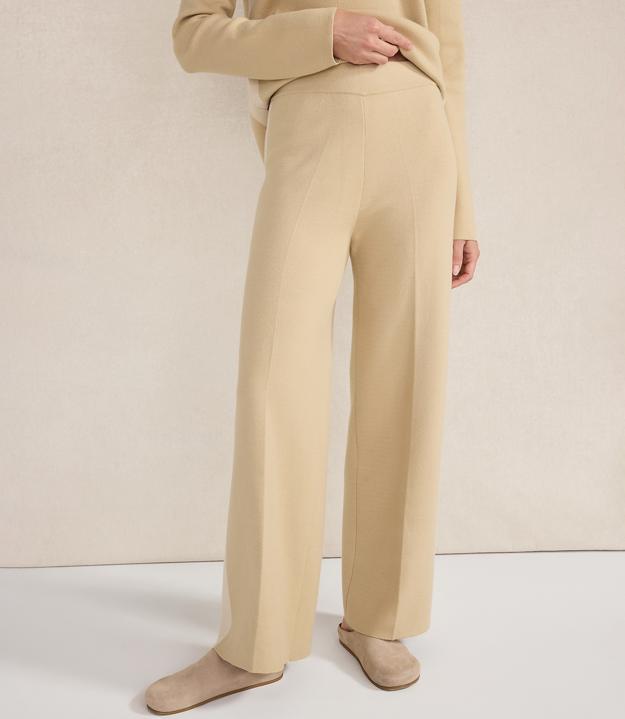 Haven Well Within Tuxedo Stripe Pants
