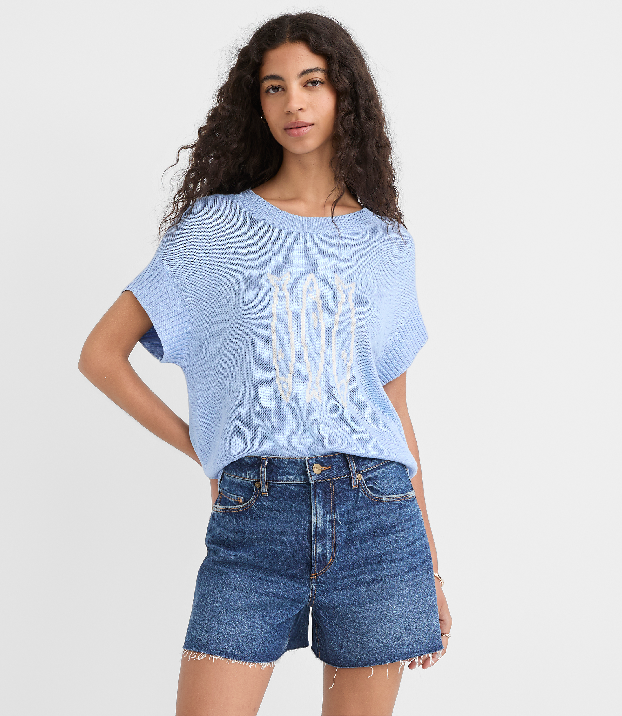 Fish Wedge Sweater