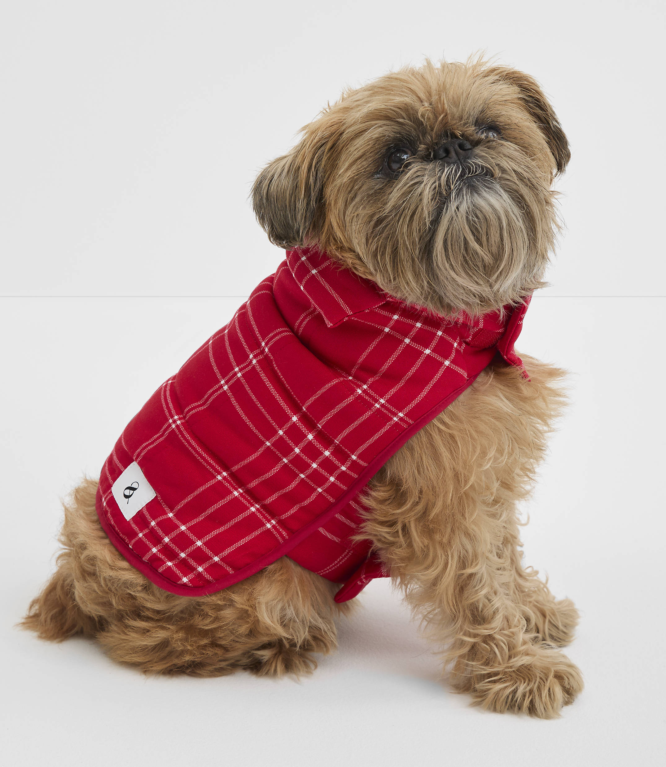 A small, shaggy dog with a red and white plaid puffer vest sits against a plain white background.