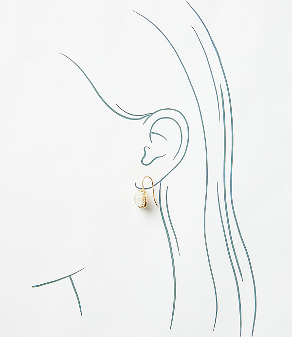 Pave Bordered Pull Through Earrings