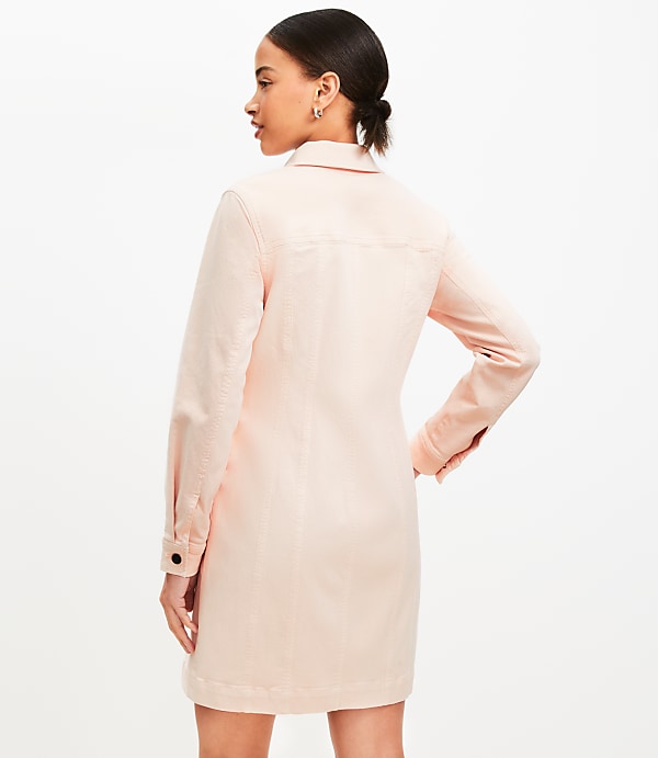 sheer lace mini dress Sheer Lace A-Line Mini Dress in Ivory - 6