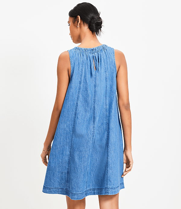 Petite Chambray Seamed Mini Dress