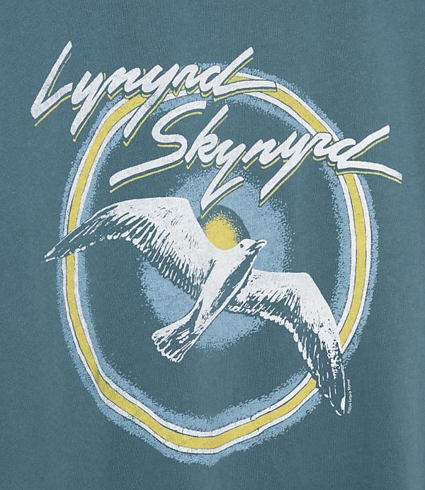 Junk Food Lynyrd Skynyrd Bird Vintage Tee