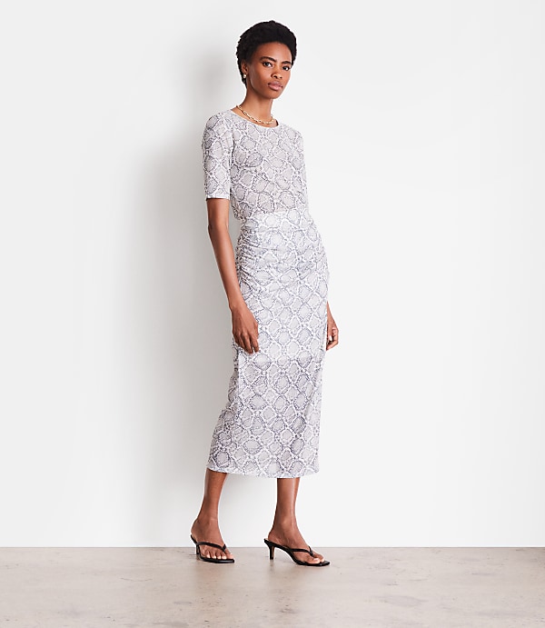 Petite LOFT Versa Snake Print Mesh Ruched Midi Skirt