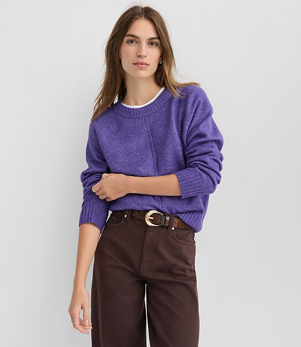 Petite Seamed Raglan Sweater