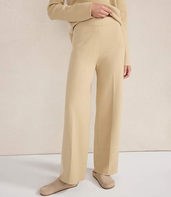Haven Well Within Tuxedo Stripe Pants