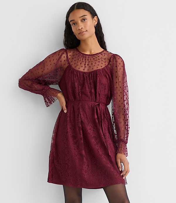 Petite Dotted Chantilly Lace Mini Dress